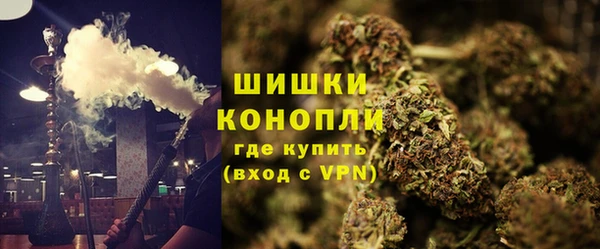 амф Магас