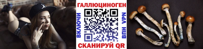 blacksprut как войти Отрадная Галлюциногенные грибы GOLDEN TEACHER